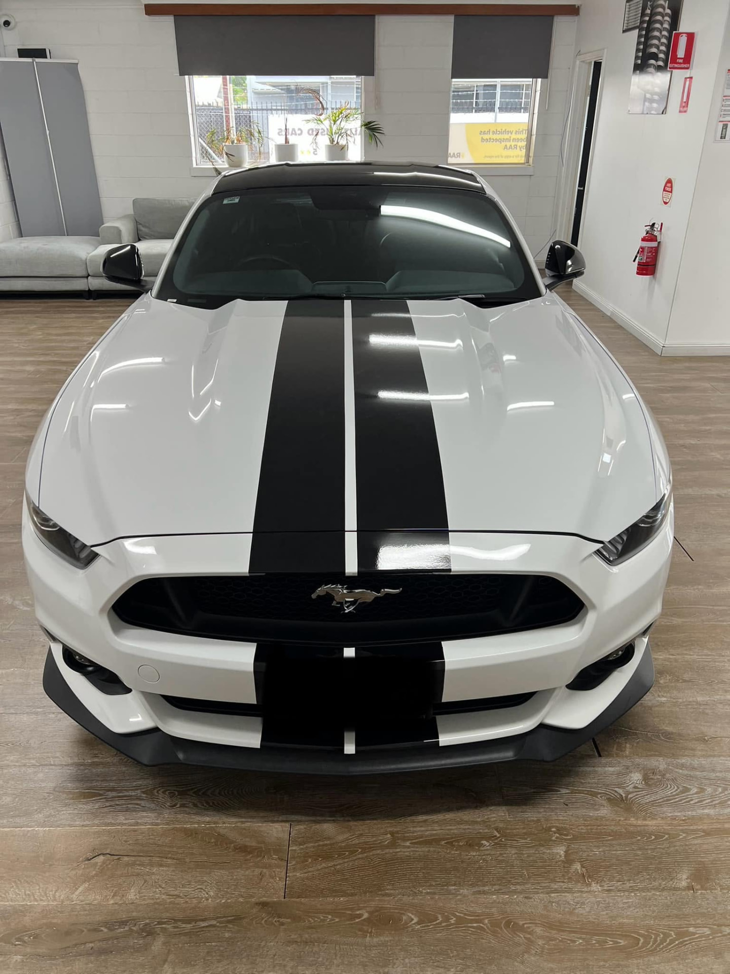 White Ford Mustang GT with racing stripes, gloss-finished by Premium Car Care